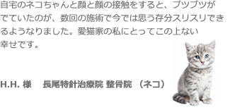 cat_5_jp_2.jpg