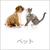 pets_1px_0.jpg